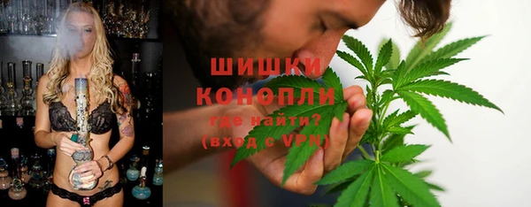 метадон Богданович