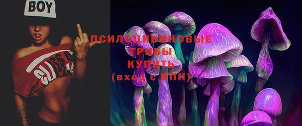 амфетамин Богородицк