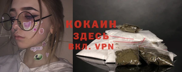 метадон Богданович