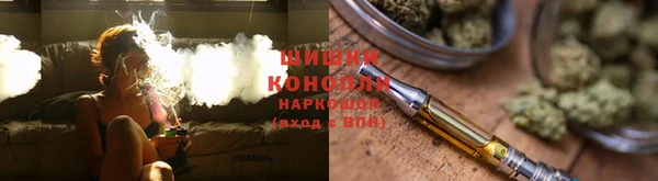 метадон Богданович