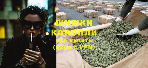 метадон Богданович