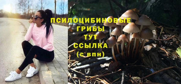 метадон Богданович