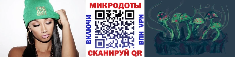 Галлюциногенные грибы Psilocybine cubensis  Дно 